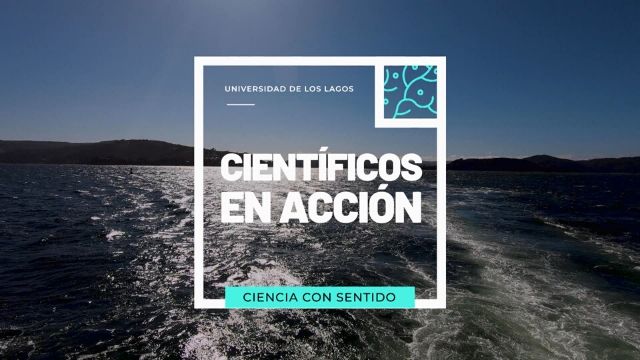 Científicos en Acción 