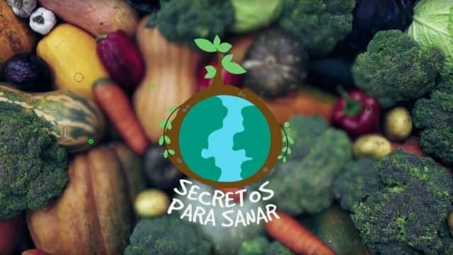 Secretos Para Sanar 