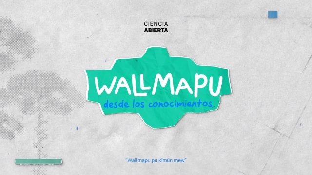 Wallmapu 