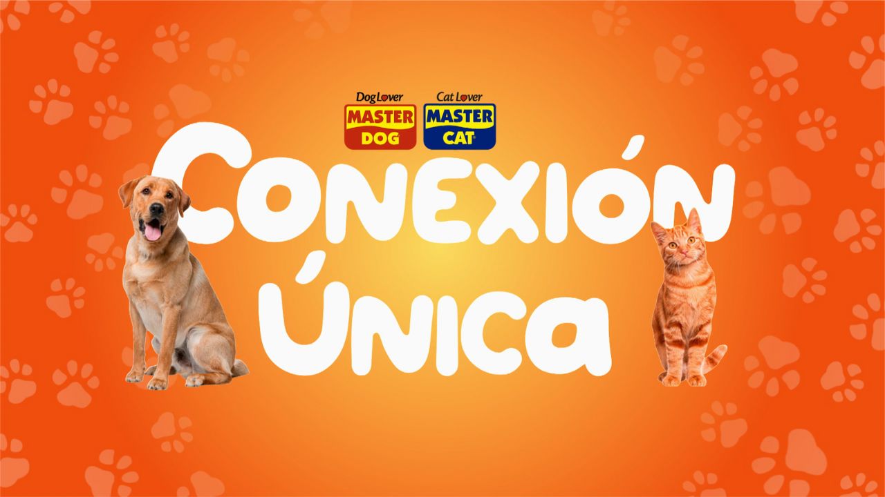 Conexión Única 