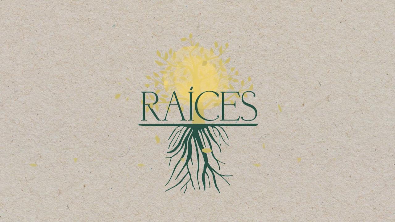 Raíces 
