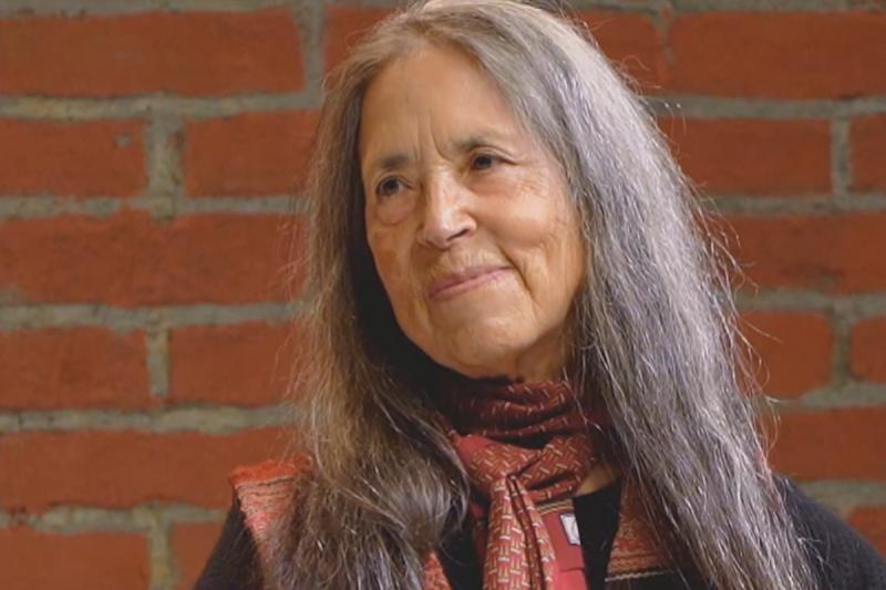 Cecilia Vicuña - El Giornalista