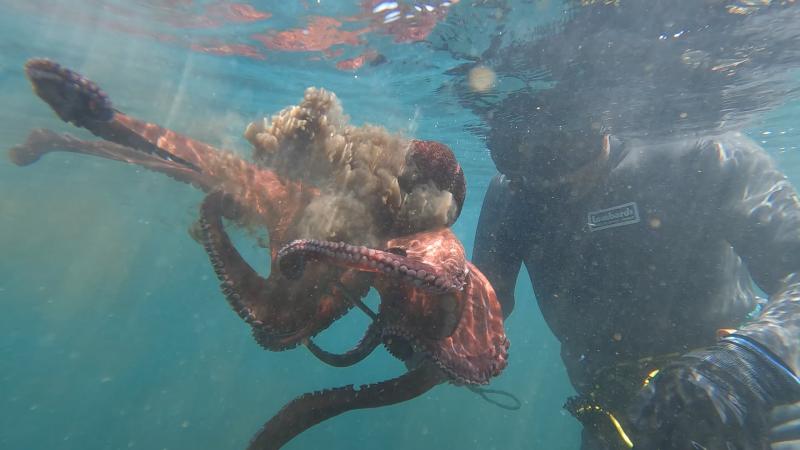 Llega a 13C “Descendientes del Mar”: La serie que revela el legado vivo del pueblo Chango en las costas de Chile.