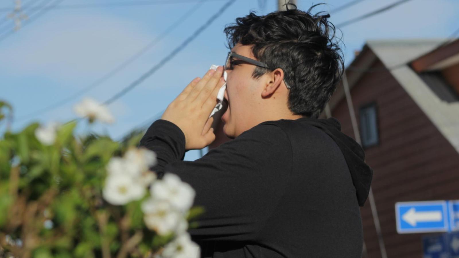 ¿Sufres de alergia estacional? - Agencia Uno