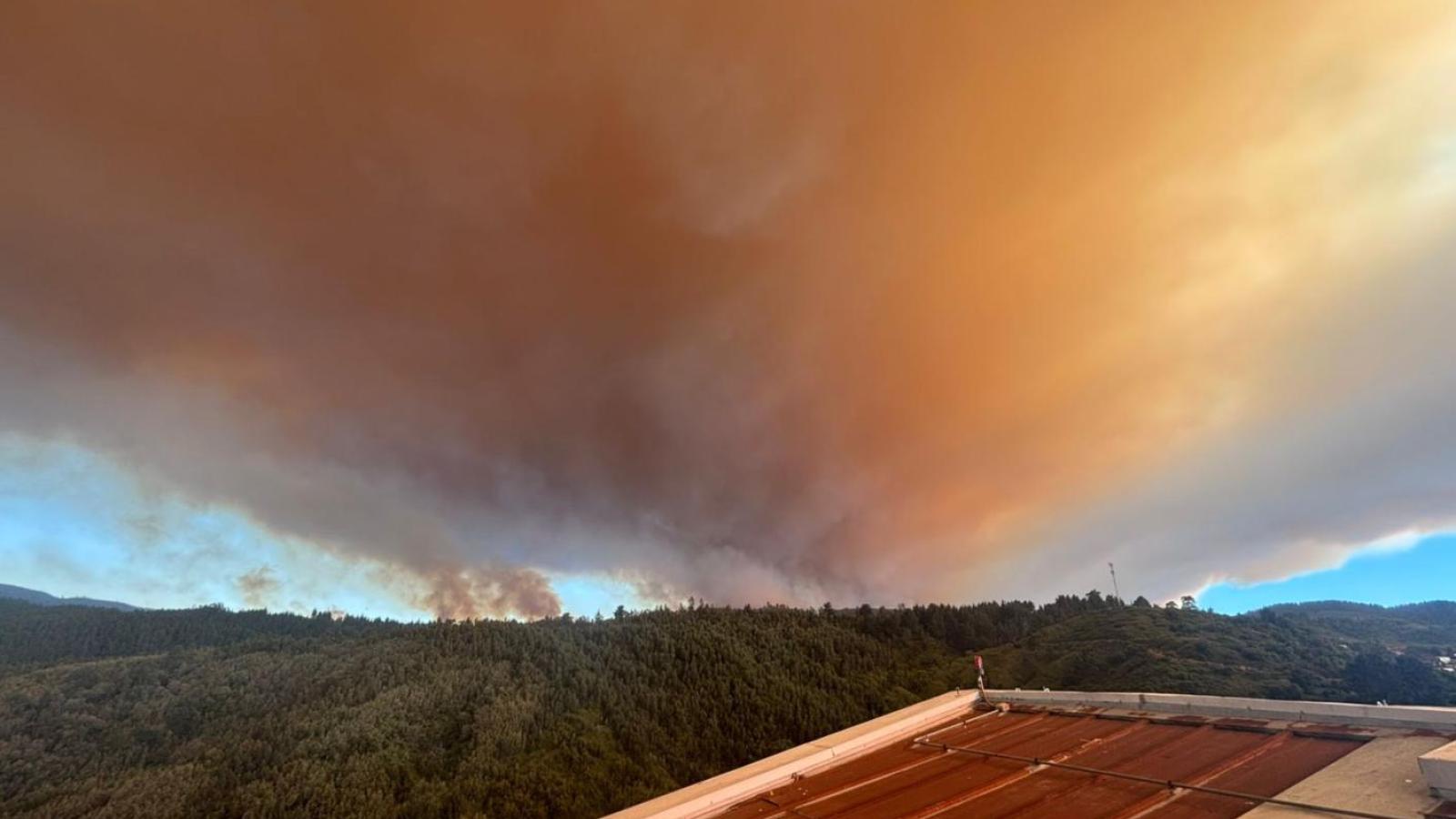Incendios - Agencia Uno