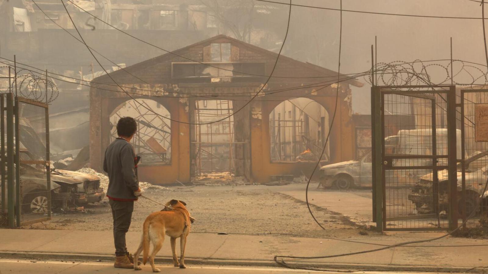 Incendios en el sur de Chile - Agencia Aton