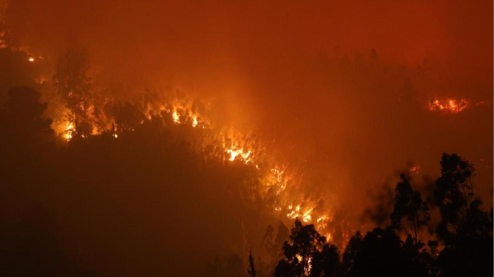 Incendios forestales