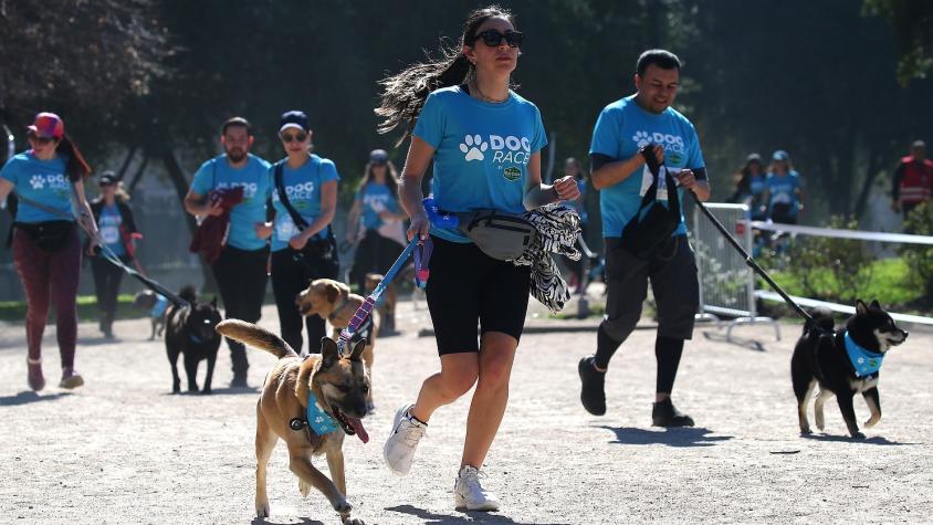  Corrida para perros y familias en el Parque Padre Hurtado. Créditos: SuperZoo.
