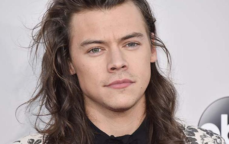 Harry Styles ya está listo para ser solista