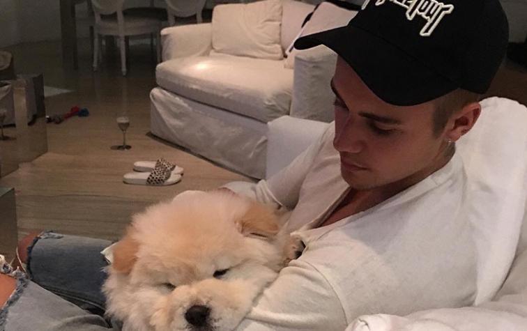 Justin Bieber da en adopción a su perro enfermo 