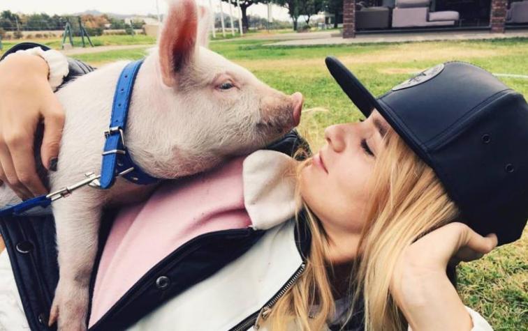 Kika Silva golpeada por la muerte de su chanchita “Roxy”