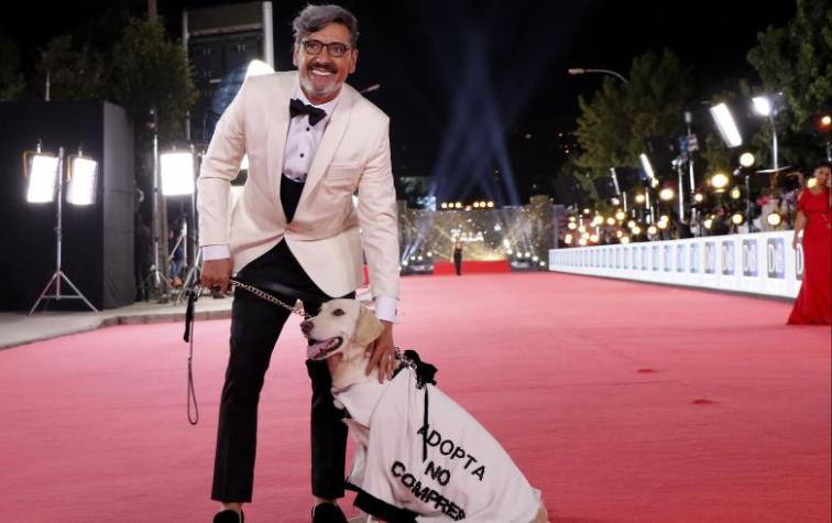 Perro de Nicanor Bravo se robó la atención en Gala de Viña