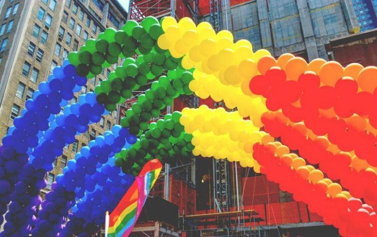 ¿Cuál es el significado de los términos utilizados por la comunidad LGBT?