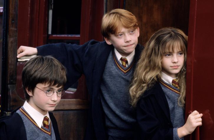 Ofrecen 1.000 dólares por ver la saga de Harry Potter completa 