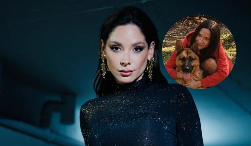 ¿Qué pena arriesga el responsable? Kel Calderón busca justicia por la muerte de sus perros