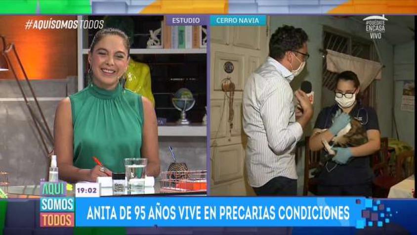 Veterinaria atendió a los 9 gatitos de Anita