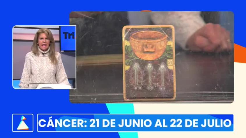 ¿Qué dice el tarot sobre tu signo?: Conoce las predicciones de Katy Szabo