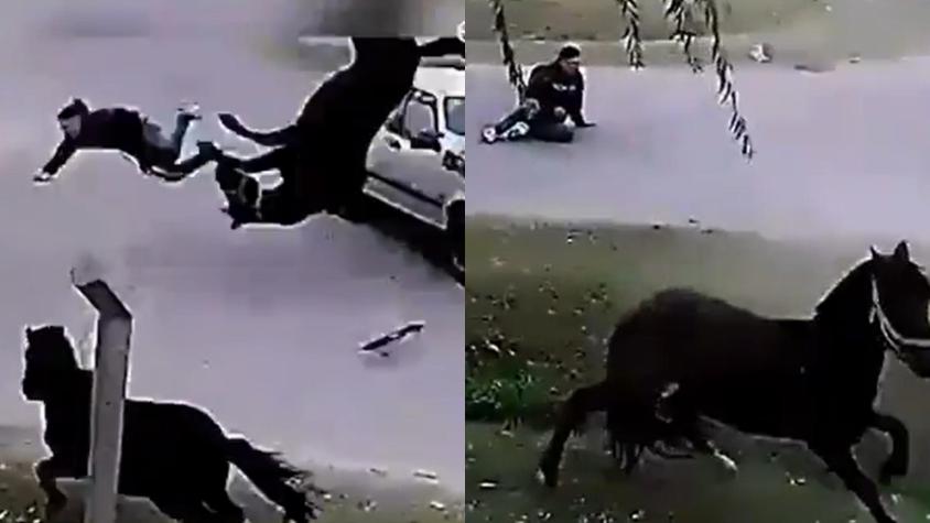 Joven se subió de broma a caballo, perdió control y fueron atropellados: ambos volaron por los aires 