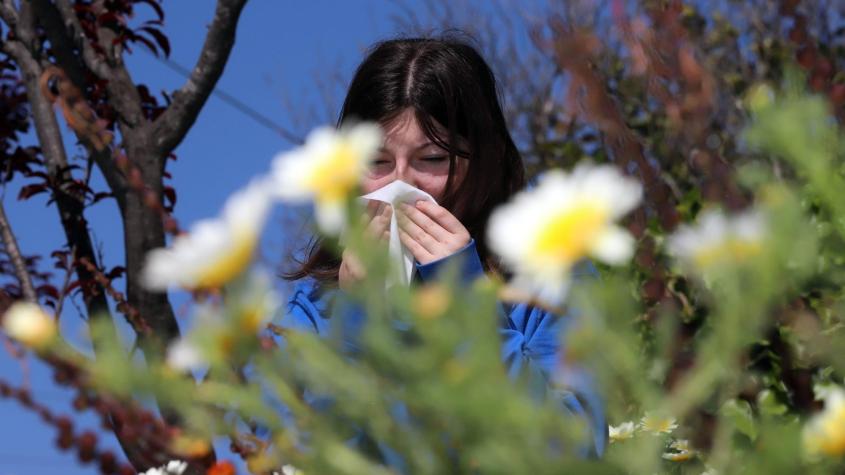 Estos son los tips del Doctor Ugarte para prevenir las alergias en primavera
