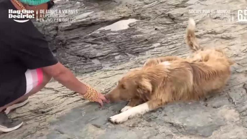 El tierno encuentro de Claudio Iturra y un perrito en la orilla del Río Baker