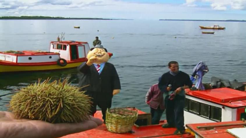 Cachureos | Temporada 2000 | Capítulo 25