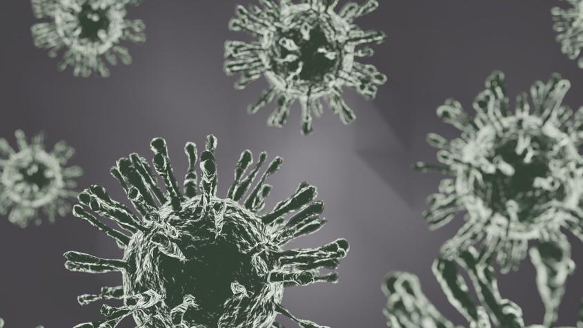 La "supergripe" H3N2 llega a Perú y Chile activa protocolo sanitario ante inminente aparición del virus