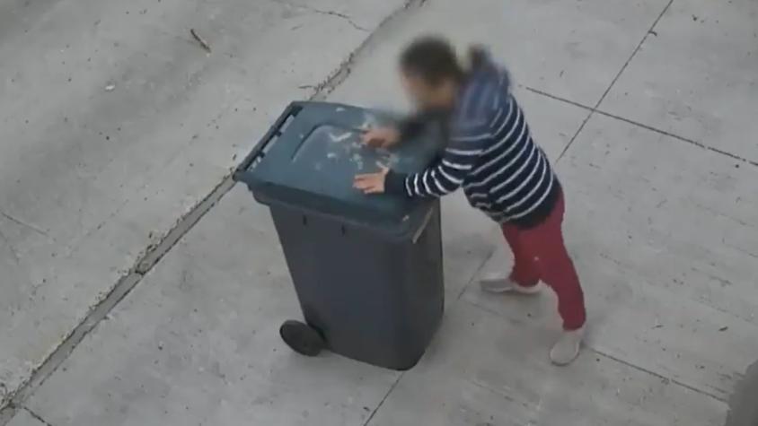 Impactante video de mujer tirando a perro a un basurero en Cerro Navia: mascota quedó con cola y patas fracturadas