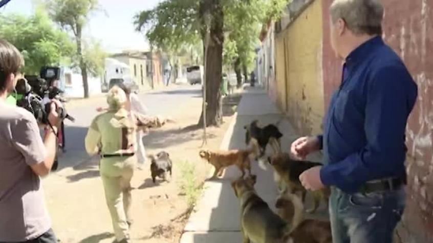 Vecinos en Conflicto | Capítulo 4