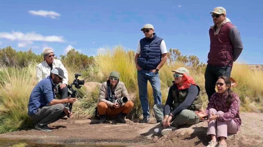 Pangal y sus primos quedan impactados al descubrir el imponente cañón del río Loa en “El Clan”