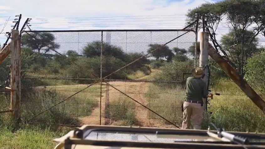 África Salvaje | Capítulo 11 | Namibia
