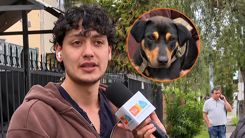 Joven encontró a perrita con arnés cerca del metro Pedro Aguirre Cerda: busca a sus dueños