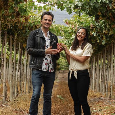 Alembic, the Chilean pisco Route
