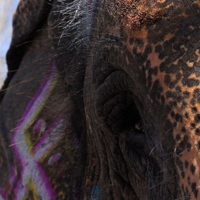 THE JOURNEY OF MY LIFE