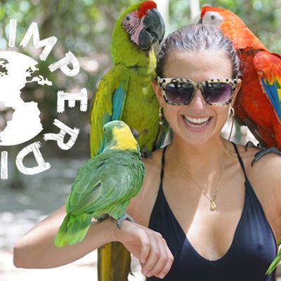 Must-see destinations