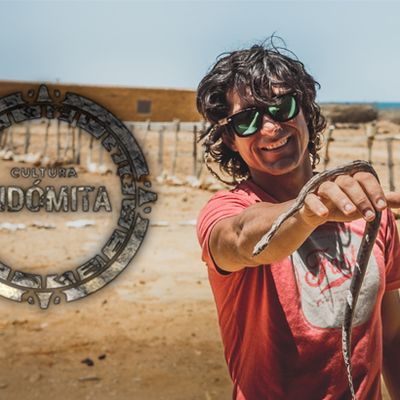 Indomitable culture